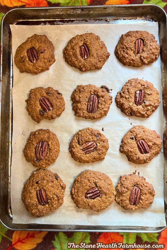 finished and baked pumpkin cookies cooling on a parchment lined baking pan. these ones have chopped pecans, raisins and a half pecan on the top.