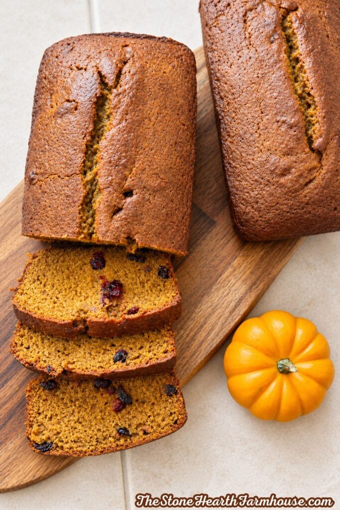 Sliced pumpkin cranberry bread with dried cranberries on a wooden cutting board beside a small pumpkin