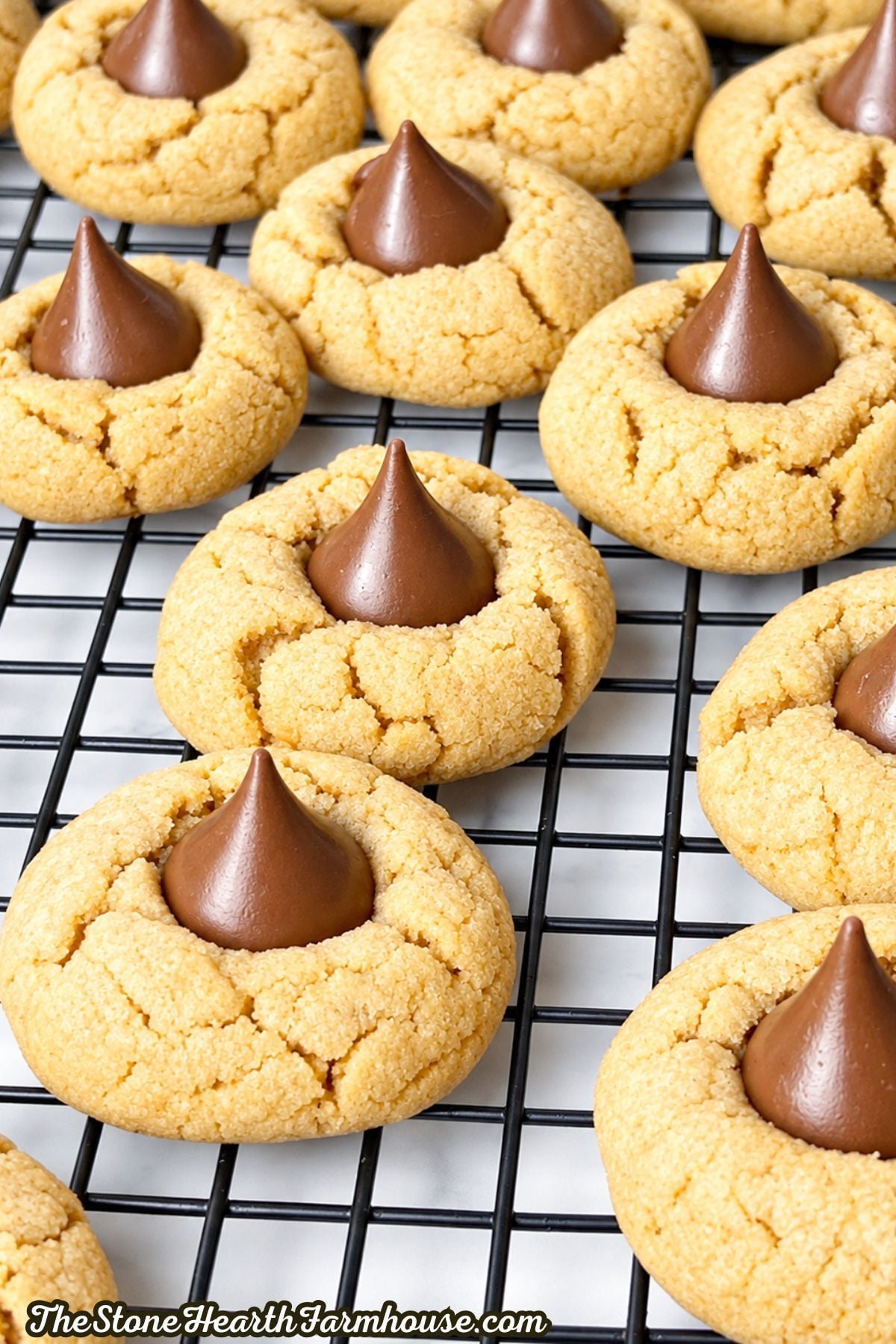 Peanut Butter Blossom Cookies